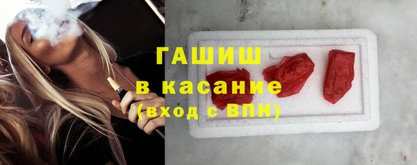 прущие грибы Алзамай