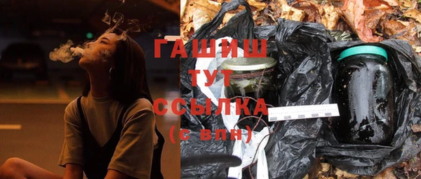 прущие грибы Алзамай