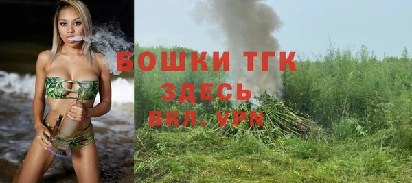 прущие грибы Алзамай