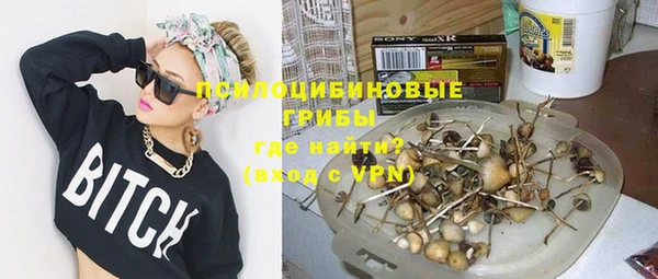 прущие грибы Алзамай