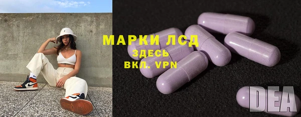 прущие грибы Алзамай
