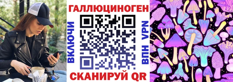 блэк спрут ТОР  Обоянь  Псилоцибиновые грибы MAGIC MUSHROOMS 